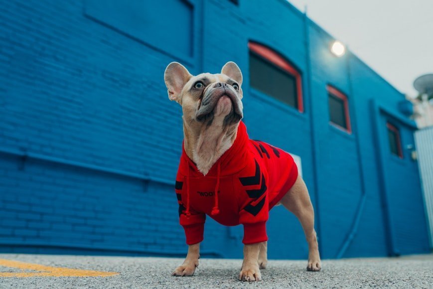 photo 1603123853880 a92fafb7809f