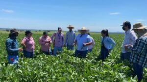 WhatsApp Image 2025 07 18 at 15.21.35